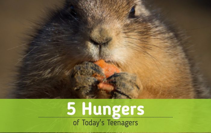 Five Hungers of Today’s Teenagers